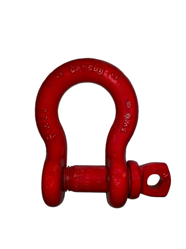 1/4" S-209 Screw Pin Anchor Shackle | 1/2T