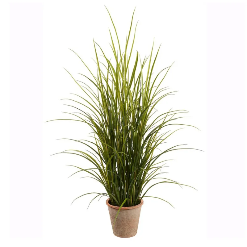 57" Grass in Clay Pot