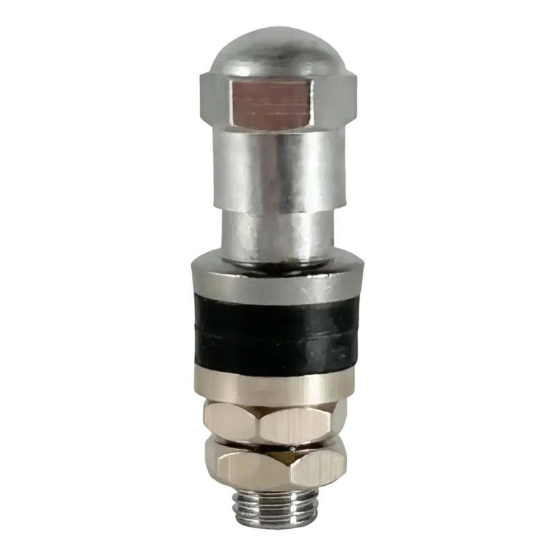 AA 6mm Bolt-in Motorcycle Valve For Rotiform & Asanti 3-pcs Wheels