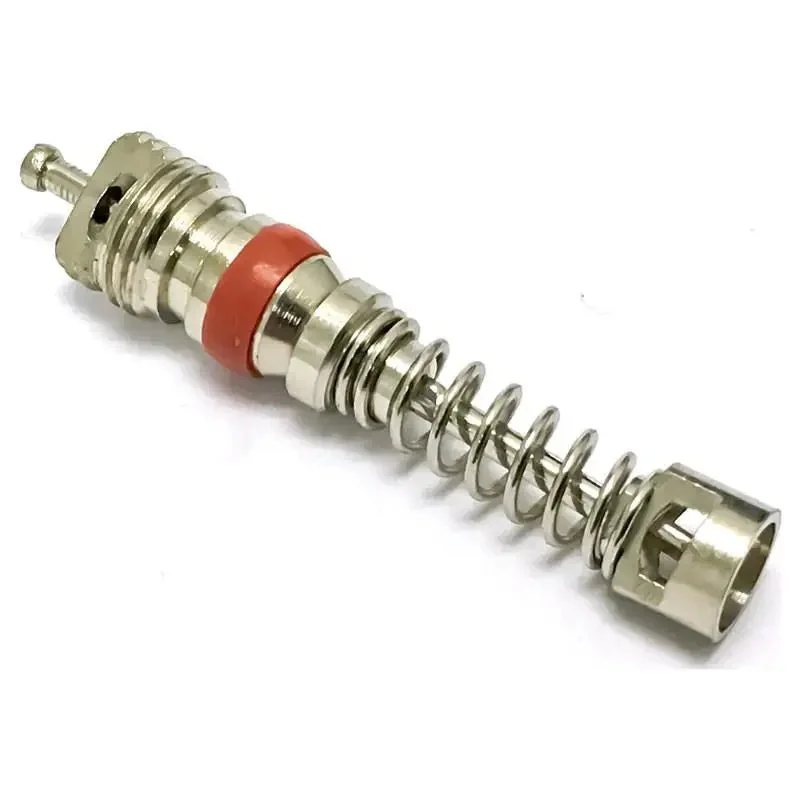 AA Largebore Long Valve Core Ea.
