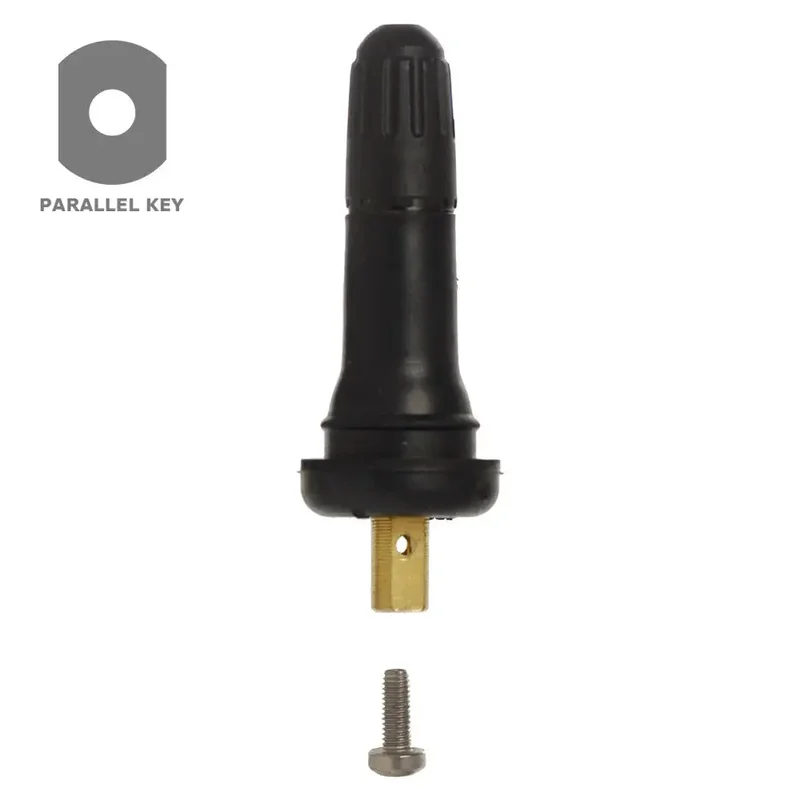 AA TPMS 20008 Snap-in Valve (GM) (.453")