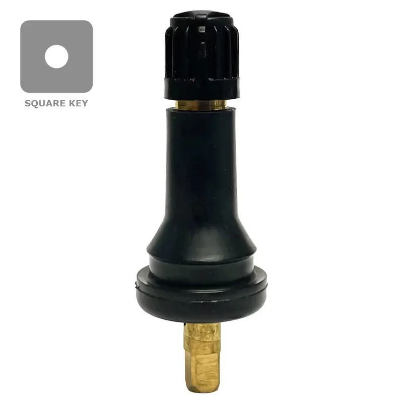 AA TPMS2 Snap-in Valve (.453") (Ea)