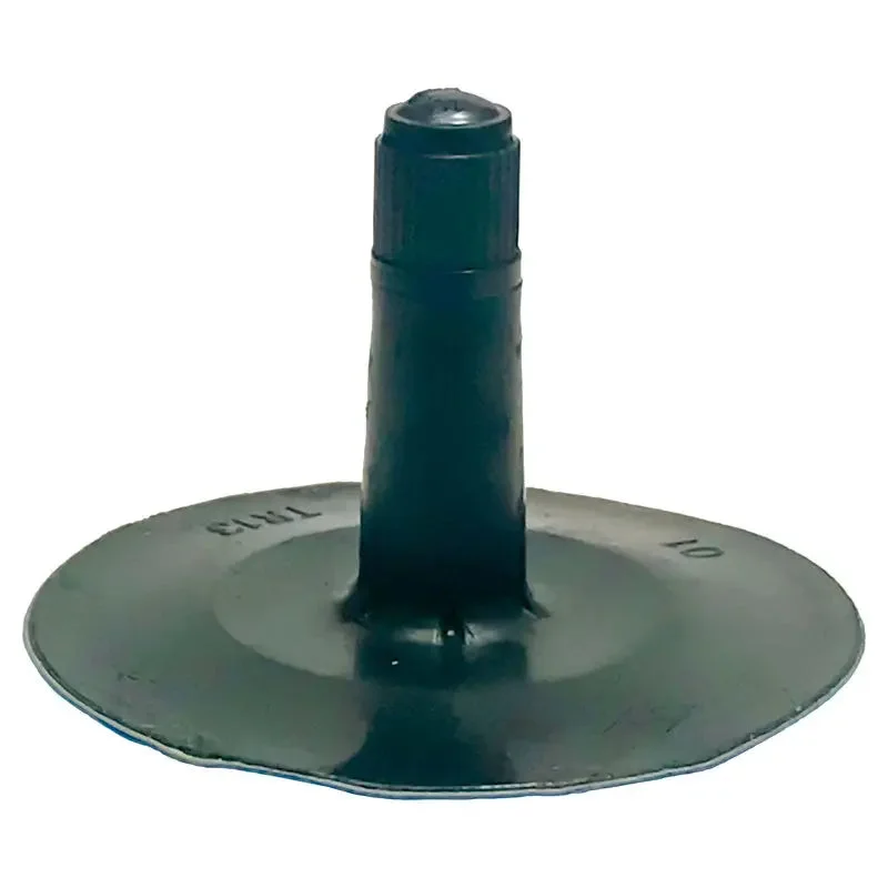 AA Tube Replacement Valve (Ea)