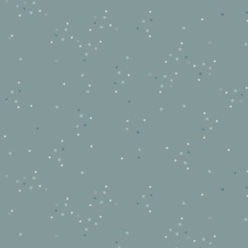 ADVENTALE: Twinkle Little Stars-Sky (1/4 Yard)