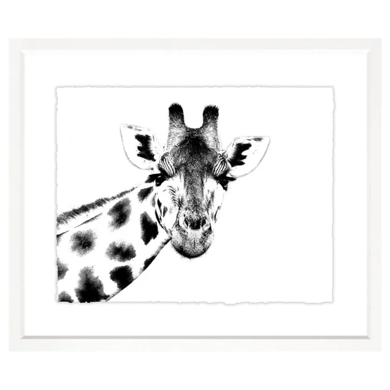 Animal Collection Black and White, 41" x 34"