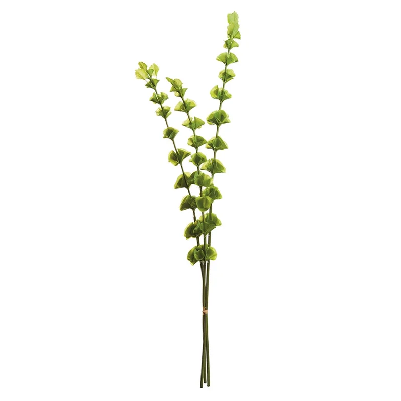 Bells of Ireland, Bundle of 3
