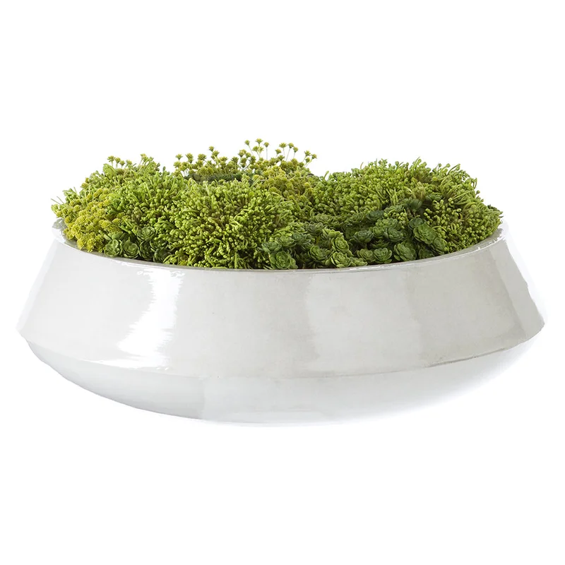 Berry Head in Planter, Green -20"W x 10"H