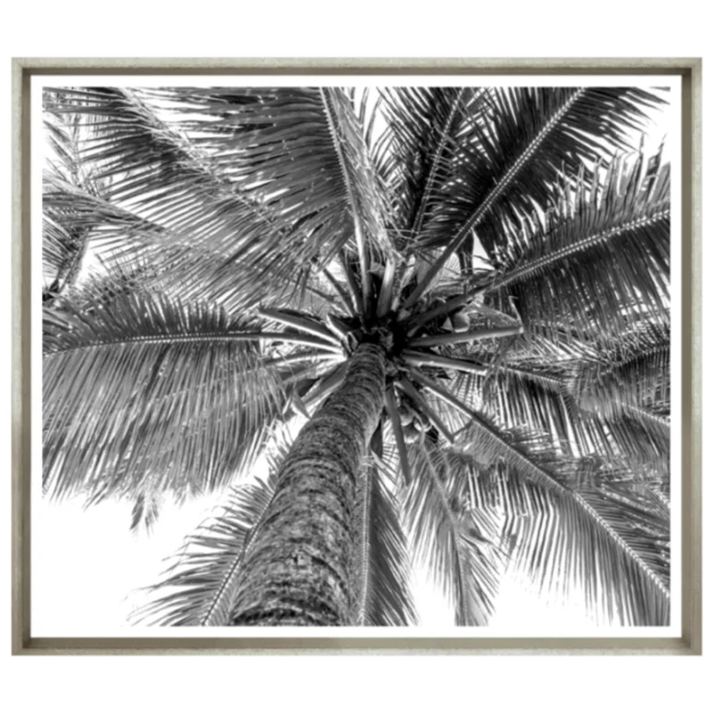 Black And White Palm, 40" x 33