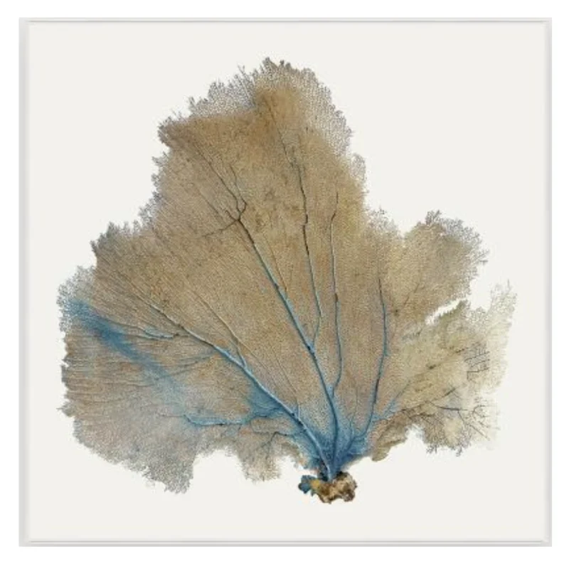 Blue Infusion II, 31.25" x 31.25", White Frame