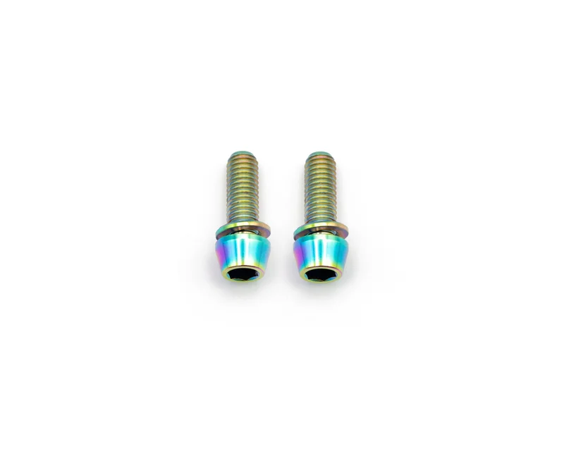Brake Caliper Mounting Bolts - Mountain - Titanium Rainbow Oil Slick