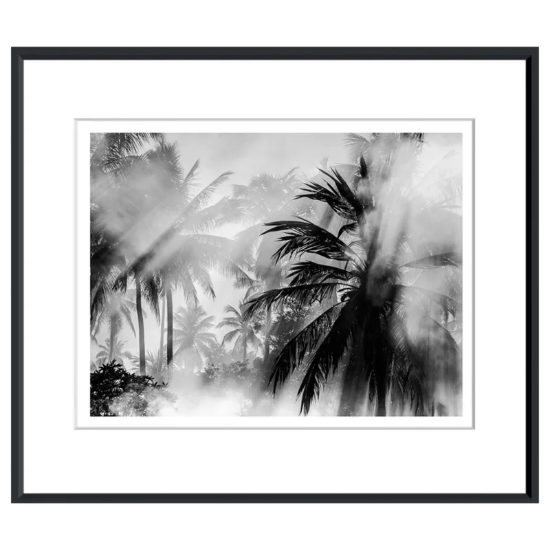 Brazillian Palms, 40" x 33"