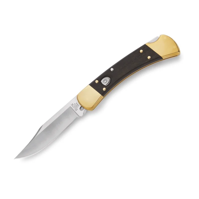 Buck 110 Folding Hunter Auto Ebony