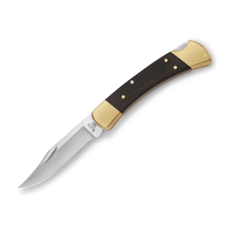 Buck 110 Folding Hunter