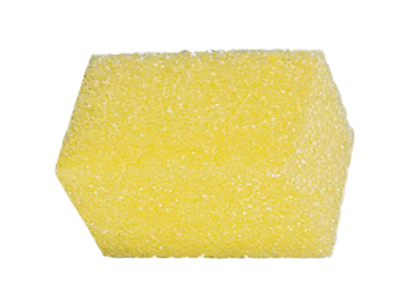 Bug Block Do All Scrubber Sponge