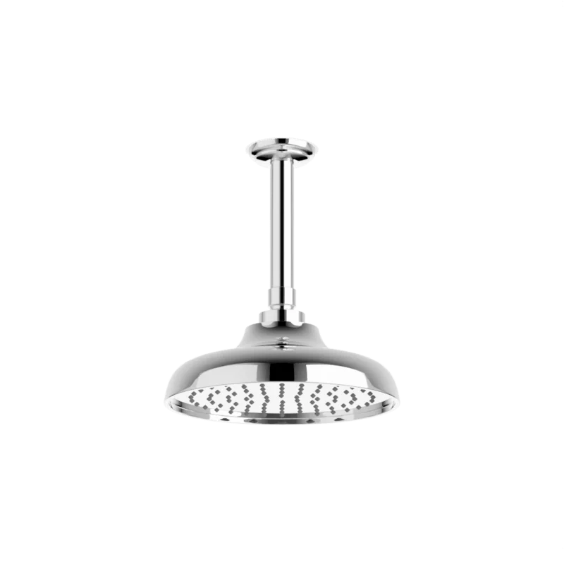 Classic 8" Rain Shower Head on Ceiling Mount Arm