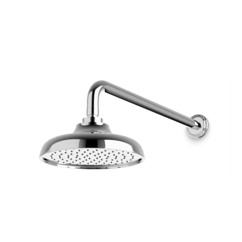 Classic 8" Rain Shower Head on Wall Mount Arm