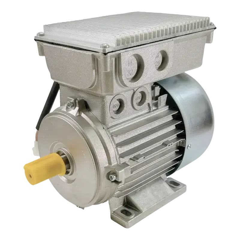 Coats OEM Electric Motor for Tire Changer, 115V, 2-Speed - 85609751