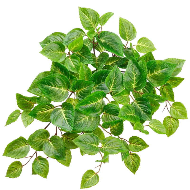 Coleus Bush, Green - 20" (UV Protected)