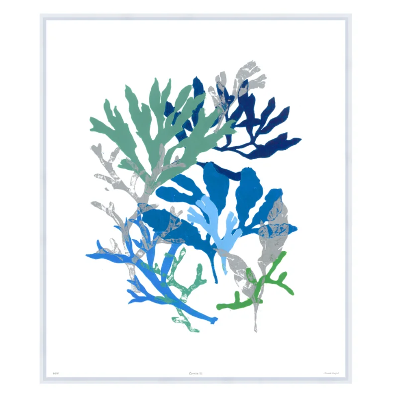 Corals III, 41" x 35"