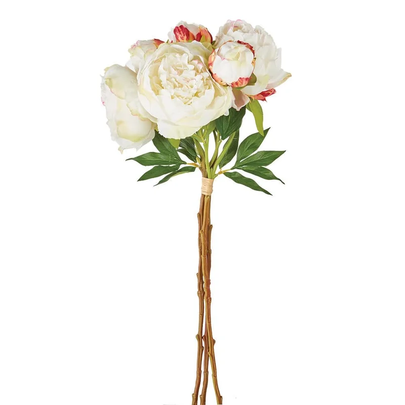 Cream Peony Bundle