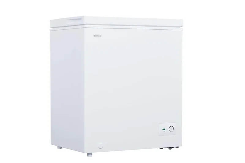 Danby - 5 cu. Ft Chest Freezer in White - DCF050B1WM White