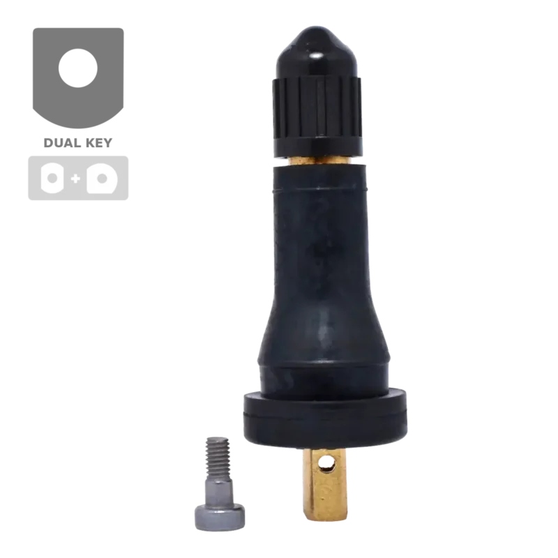 Dill VS-20 TPMS Rubber Snap-in Valves Service Kit for GM, Ford