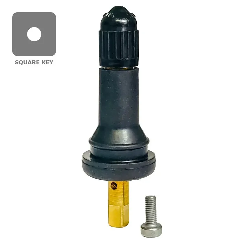 Dill VS-65 TPMS Snap-in Valve (.453") (Ea)