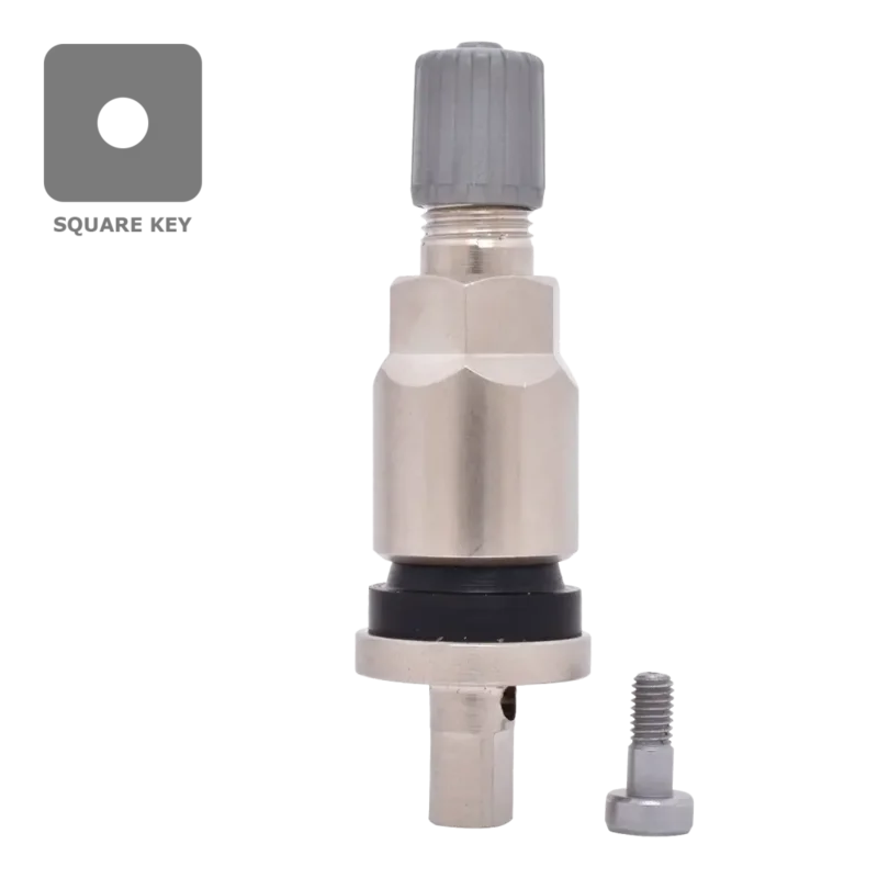 Dill VS240MC TPMS Metal Stem Service Kit for Ford, Lincoln (Ea.)