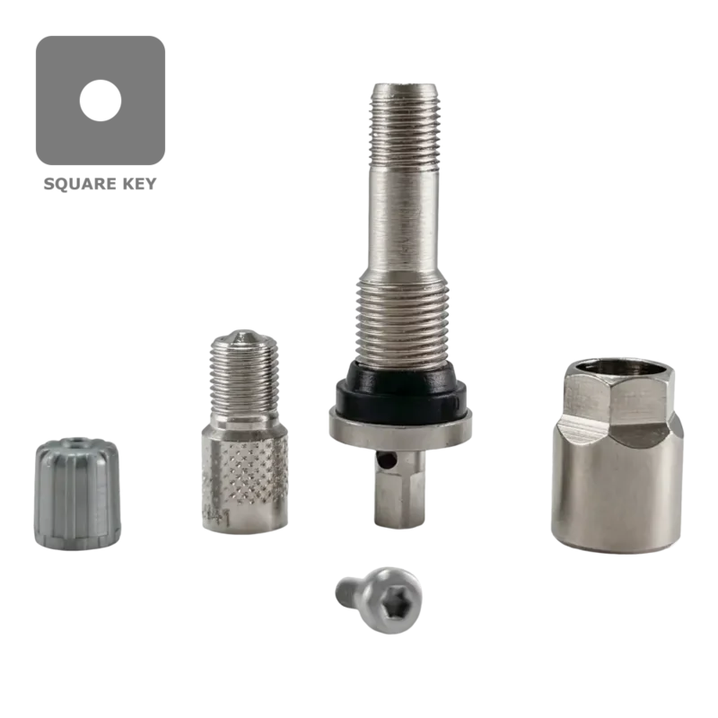 Dill VS241 TPMS Aluminum Stem Service Kit for 2017+ Ford Super Duty