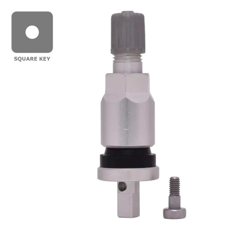 Dill VS925A TPMS Aluminum Stem Service Kit for GM, Ford, Chrysler/Dodge/Jeep, Subaru