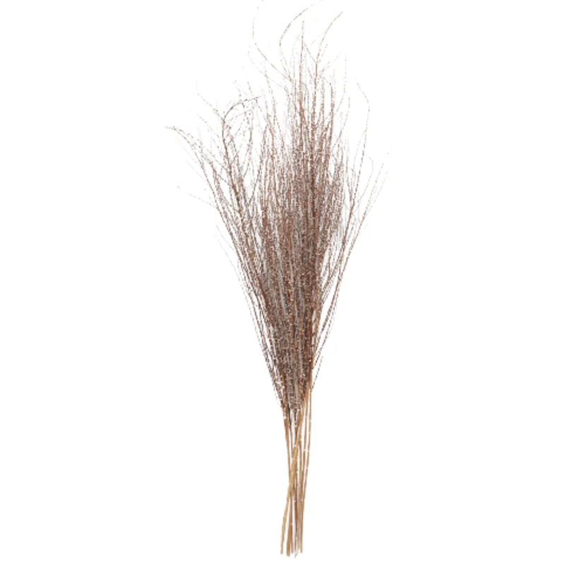 Dried Hoary Willow Branch Bundle, 20-30"