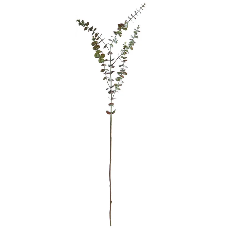 Eucalyptus Branch, 44"