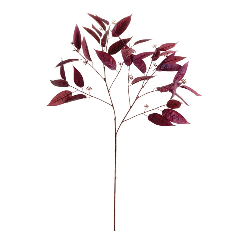 Eucalyptus Seed Branch 36.5"