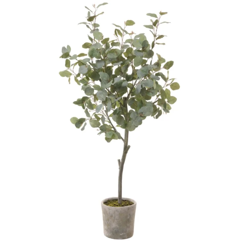 Eucalyptus Tree in Mgo Pot, Green - 60"