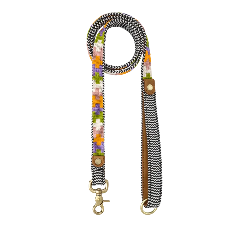 Everyday Dog Leash, Jolly Lolly, 2 Sizes