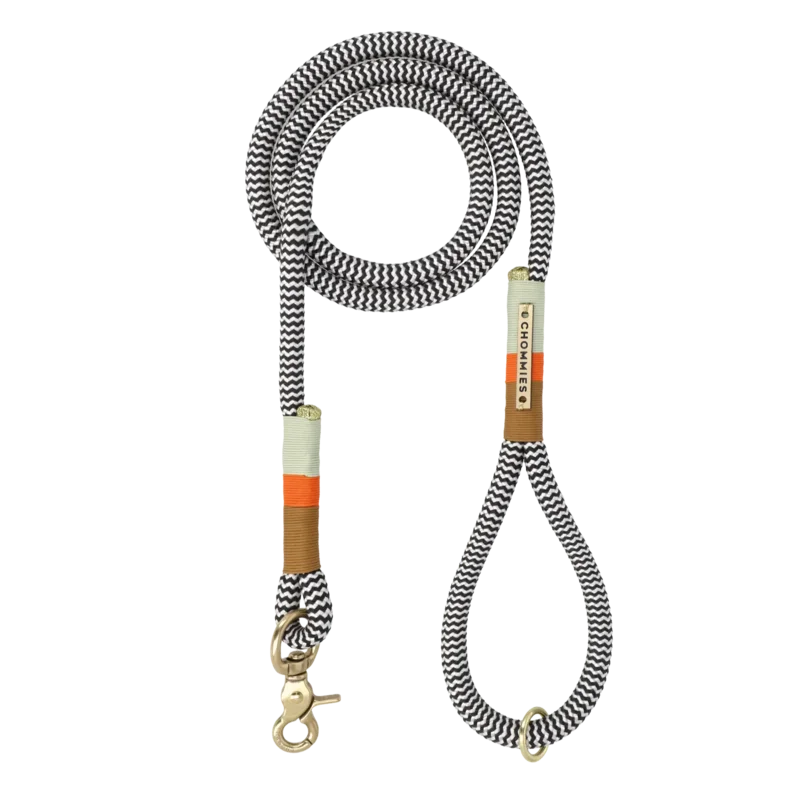 Everyday Dog Leash, Spicy Karoo, 2 Sizes