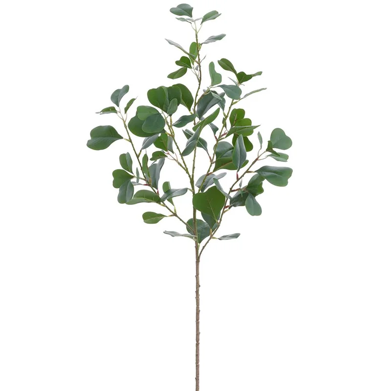 Ficus Spray, 34"