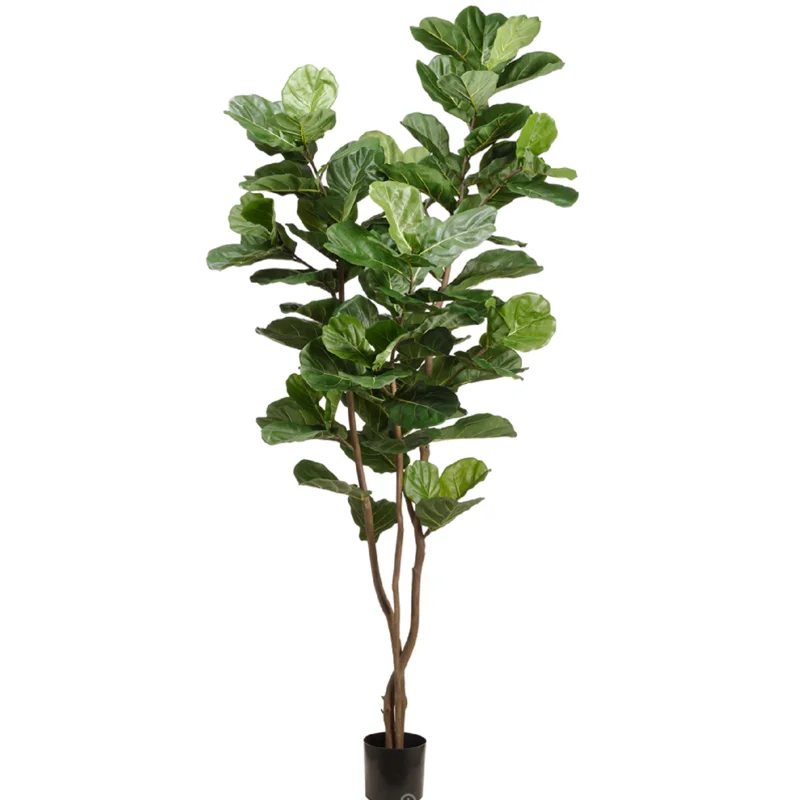 Fiddle Leaf Tree in Plastic Pot, Green - 90.5"