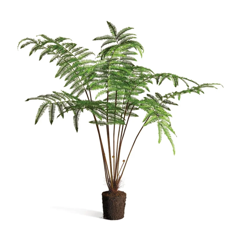 Forest Fern Drop-In 60"