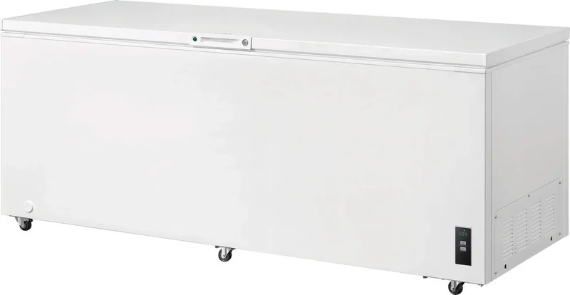 Frigidiare - 24.9 cu. Ft Chest Freezer in White - FFCL2542AW White