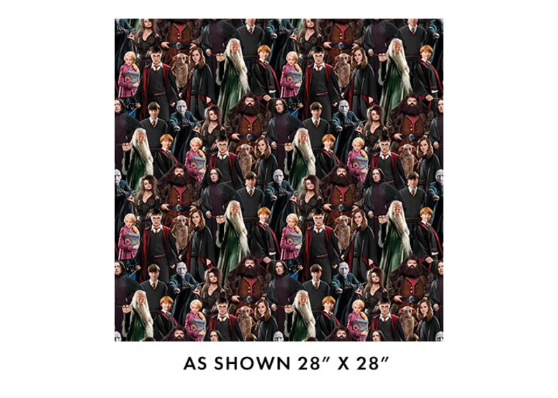 HARRY POTTER: Characters 108"-Multi (1/4 Yard)