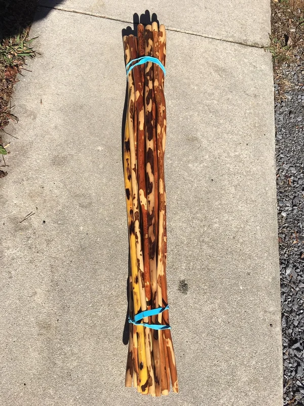 Hickory Hiking / Walking sticks 42