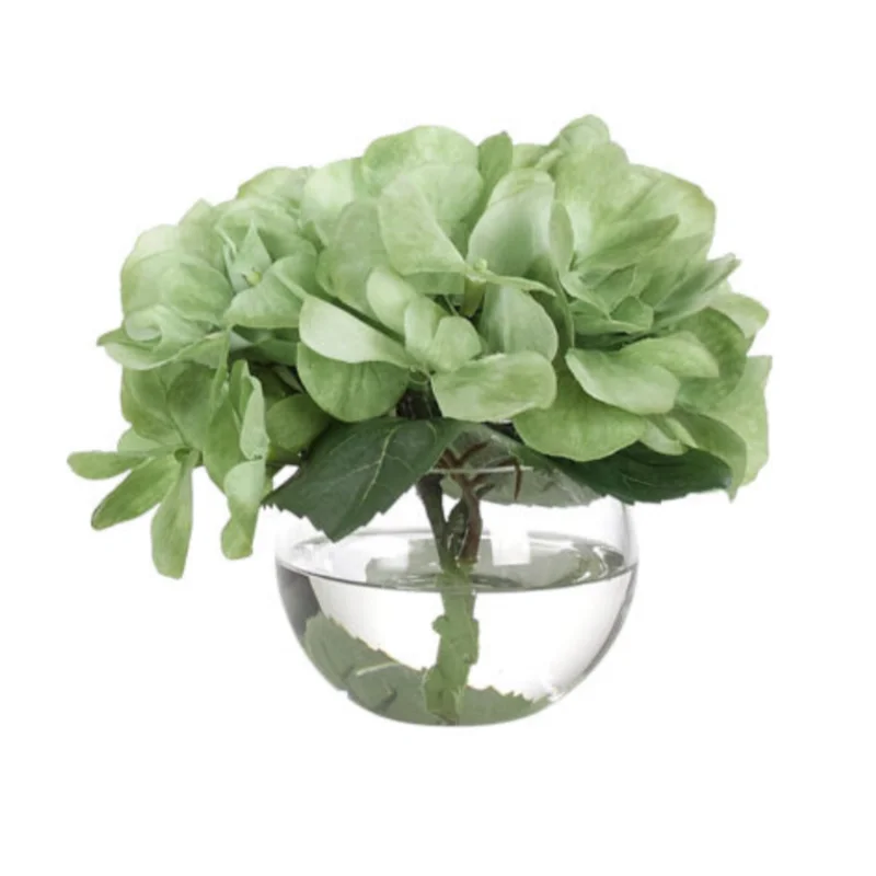 Hydrangea, Faux Watergarden, 6