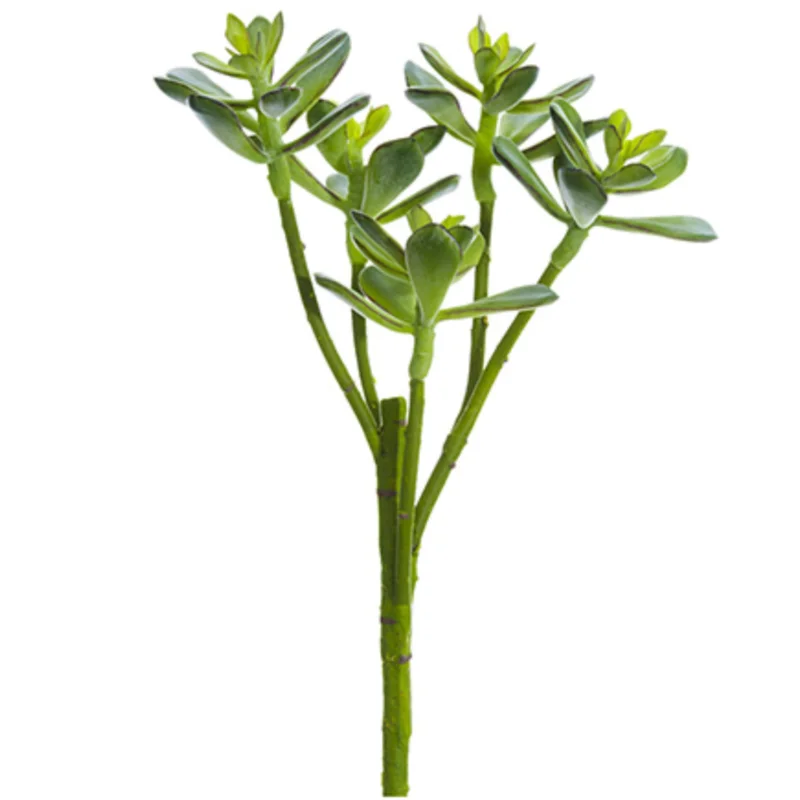 Jade Spray, Green - 16"