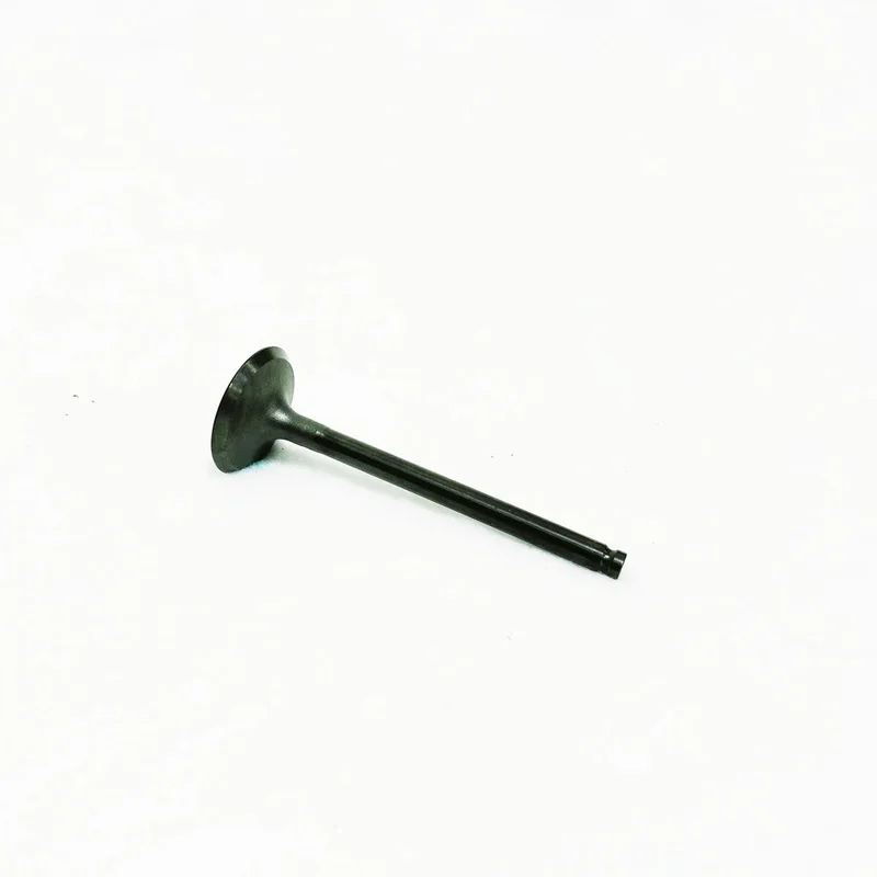 K12004-0740 | Onyx Fs481v 603cc Intake Valve