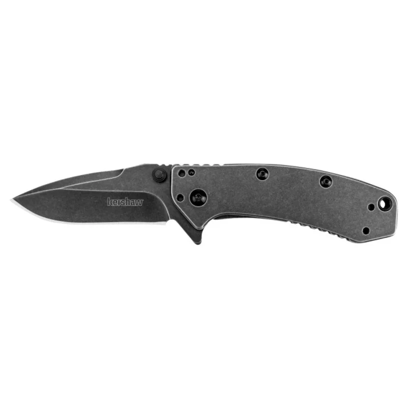 Kershaw Cryo SS Folder Blackwash