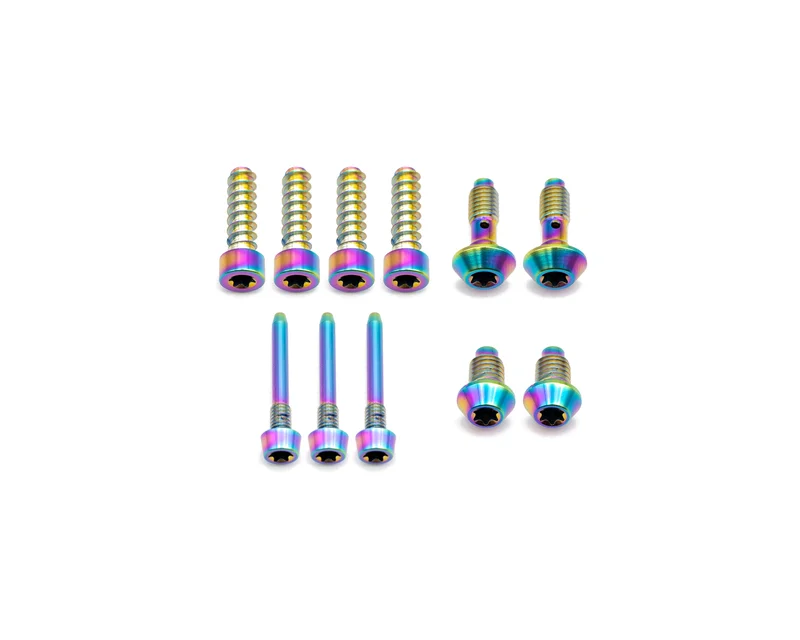 Magura MT Trail Titanium Bolt Kit Rainbow Oil Slick