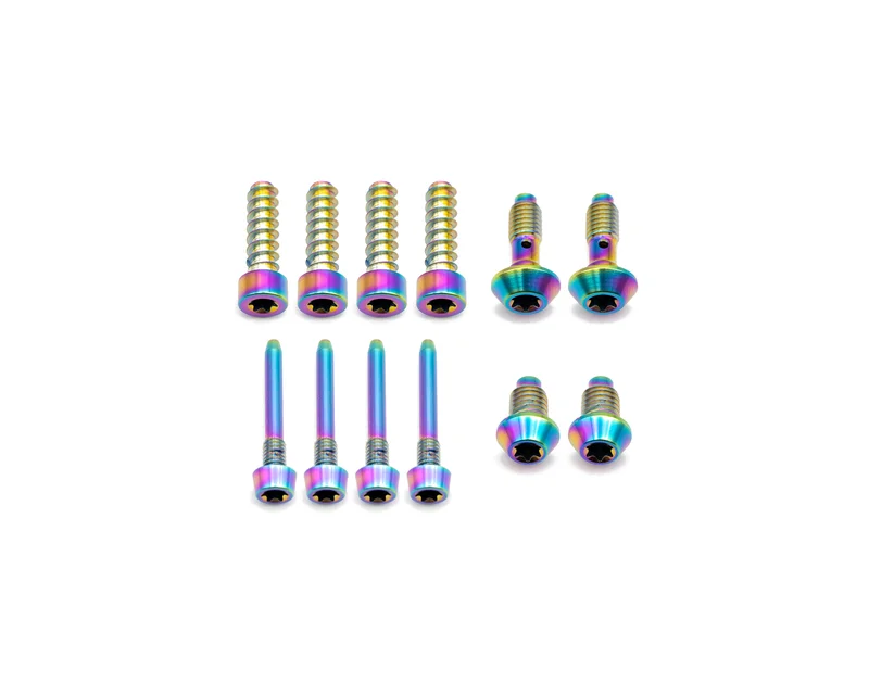 Magura MT7 Titanium Bolt Kit Rainbow Oil Slick