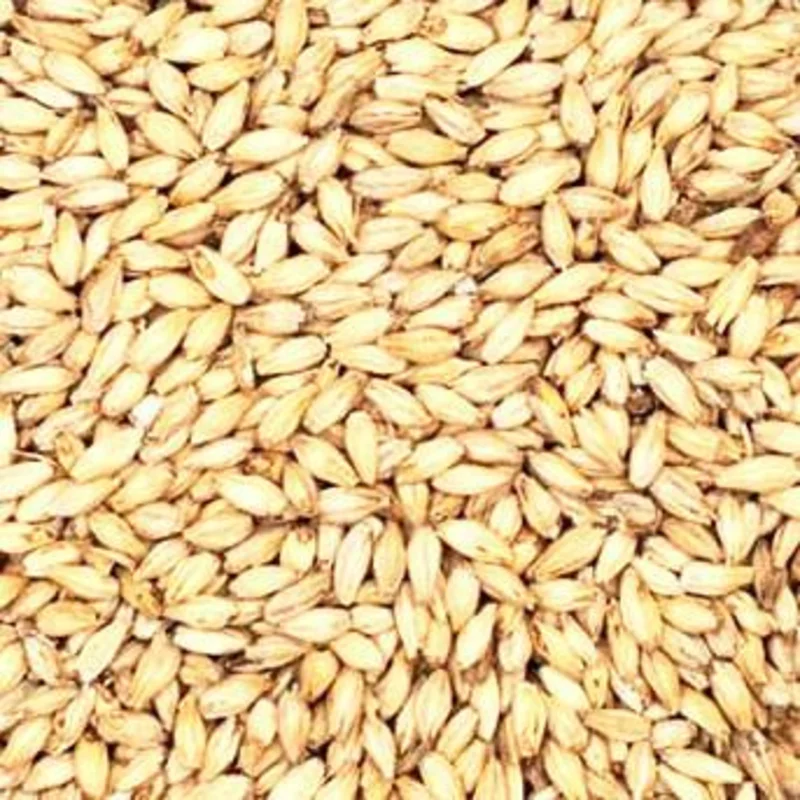 Malt - Base Malts