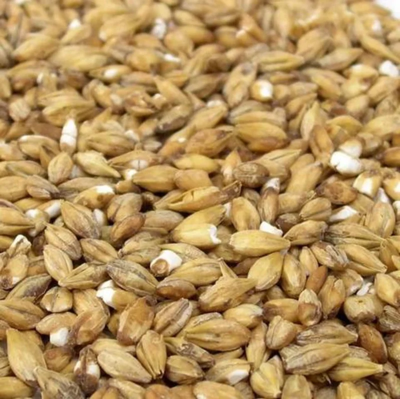 Malt - Specialty Malts